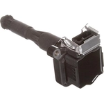 Order DELPHI - GN10016 - Ignition Coil For Your Vehicle