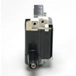 Order Ignition Coil by DELPHI - GN10068 For Your Vehicle