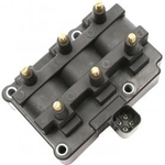 Order Ignition Coil by DELPHI - GN10213 For Your Vehicle