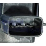 Order Ignition Coil by DELPHI - GN10244 For Your Vehicle