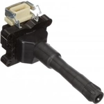 Order Ignition Coil by DELPHI - GN10335 For Your Vehicle