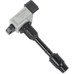 Order Ignition Coil by DELPHI - GN10377 For Your Vehicle