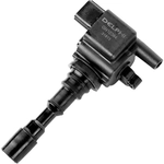 Order Ignition Coil by DELPHI - GN10384 For Your Vehicle