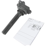 Order Ignition Coil by DELPHI - GN10387 For Your Vehicle