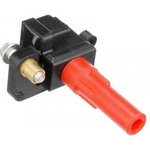 Purchase Ignition Coil by DELPHI - GN10435