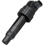 Order DELPHI - GN10683 - Ignition Coil For Your Vehicle
