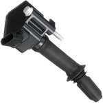Order Ignition Coil by DELPHI - GN10797 For Your Vehicle