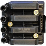 Order Ignition Coil by DENSO - 673-9101 For Your Vehicle