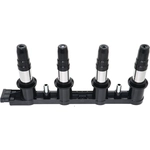 Order HOLSTEIN - 2IGC0196 - Ignition Coil For Your Vehicle
