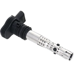 Order HOLSTEIN - 2IGC0301 - Ignition Coil For Your Vehicle