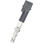 Order Ignition Coil by HOLSTEIN - 2IGC0324 For Your Vehicle