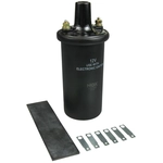 Order NGK CANADA - 48776 - Ignition Coil For Your Vehicle