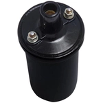 Order WALKER PRODUCTS - 920-1001 - Ignition Coil For Your Vehicle