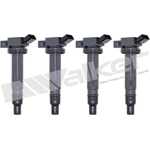 Order Ignition Coil by WALKER PRODUCTS - 928-4076-4 For Your Vehicle