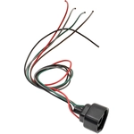 Order BWD AUTOMOTIVE - PT169 - Ignition Control Module Connector For Your Vehicle