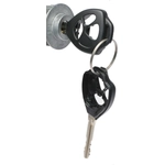 Order Ignition Lock Cylinder by BLUE STREAK (HYGRADE MOTOR) - US487L For Your Vehicle
