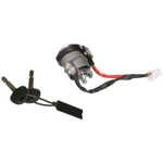 Order BLUE STREAK (HYGRADE MOTOR) - US548L - Ignition Lock Cylinder For Your Vehicle