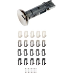 Purchase Ignition Lock Cylinder by DORMAN (OE SOLUTIONS) - 924-721