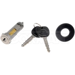 Order Ignition Lock Cylinder by DORMAN (OE SOLUTIONS) - 924-897 For Your Vehicle