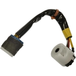 Order BLUE STREAK (HYGRADE MOTOR) - US644 - Ignition Switch For Your Vehicle