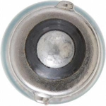 Order Ignition Switch Light by PHILIPS - 53LLB2 For Your Vehicle