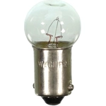 Order WAGNER - 57 - Ignition Switch Light (Pack of 10) For Your Vehicle