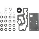Order BLUE STREAK (HYGRADE MOTOR) - 2029 - Injector Seal Kit For Your Vehicle