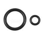 Order Injector Seal Kit by BLUE STREAK (HYGRADE MOTOR) - SK111 For Your Vehicle