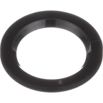 Order Injector Seal Kit by BLUE STREAK (HYGRADE MOTOR) - SK196 For Your Vehicle