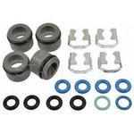 Order Injector Seal Kit by BLUE STREAK (HYGRADE MOTOR) - SK109 For Your Vehicle