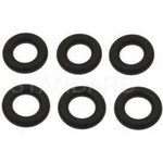 Order Injector Seal Kit by BLUE STREAK (HYGRADE MOTOR) - SK137 For Your Vehicle