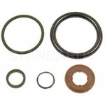 Order Injector Seal Kit by BLUE STREAK (HYGRADE MOTOR) - SK146 For Your Vehicle