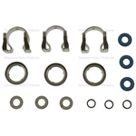Order Injector Seal Kit by BLUE STREAK (HYGRADE MOTOR) - SK150 For Your Vehicle