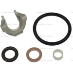 Order Injector Seal Kit by BLUE STREAK (HYGRADE MOTOR) - SK155 For Your Vehicle