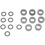 Order Injector Seal Kit by BLUE STREAK (HYGRADE MOTOR) - SK2 For Your Vehicle