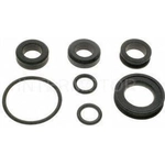 Order Injector Seal Kit by BLUE STREAK (HYGRADE MOTOR) - SK36 For Your Vehicle
