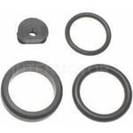 Order Injector Seal Kit by BLUE STREAK (HYGRADE MOTOR) - SK41 For Your Vehicle