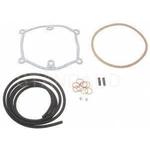 Order Injector Seal Kit by BLUE STREAK (HYGRADE MOTOR) - SK54 For Your Vehicle