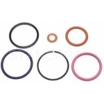 Order Injector Seal Kit by BLUE STREAK (HYGRADE MOTOR) - SK55 For Your Vehicle