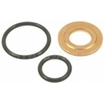 Order Injector Seal Kit by BLUE STREAK (HYGRADE MOTOR) - SK66 For Your Vehicle