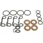 Order Injector Seal Kit by BLUE STREAK (HYGRADE MOTOR) - SK67 For Your Vehicle