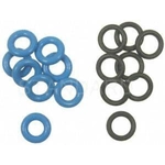 Order Injector Seal Kit by BLUE STREAK (HYGRADE MOTOR) - SK87 For Your Vehicle