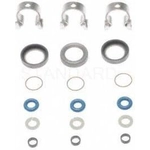 Order Injector Seal Kit by BLUE STREAK (HYGRADE MOTOR) - SK94 For Your Vehicle