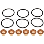 Order DORMAN (HD SOLUTIONS) - 904-8051 - Injector Seal Kit For Your Vehicle