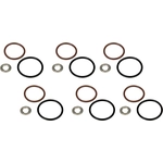 Order DORMAN (HD SOLUTIONS) - 904-8061 - Fuel Injector O-Ring Kit For Your Vehicle