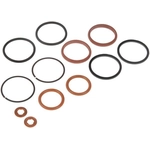 Order DORMAN (OE SOLUTIONS) - 904-206 - Injector Seal Kit For Your Vehicle