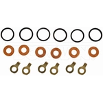 Order Injector Seal Kit by DORMAN (OE SOLUTIONS) - 904-312 For Your Vehicle