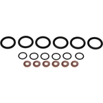 Order DORMAN (OE SOLUTIONS) - 904-313 - Injector Seal Kit For Your Vehicle