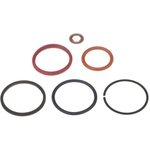 Order STANDARD - PRO SERIES - SK55 - Fuel Injector Seal Kit For Your Vehicle