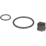 Order STANDARD - PRO SERIES - SK65 - Fuel Injector O-Ring Kit For Your Vehicle